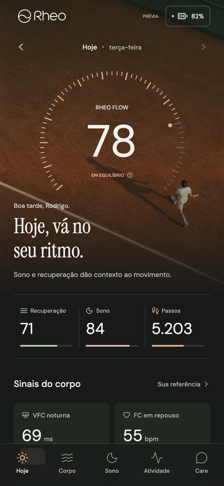 Visão conceitual do dia no aplicativo Rheo